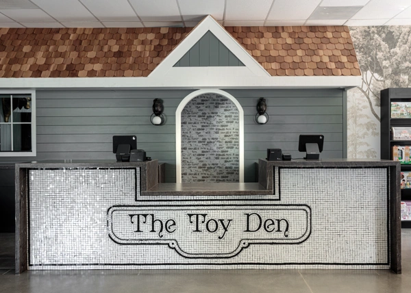 Cover image for THE TOY DEN